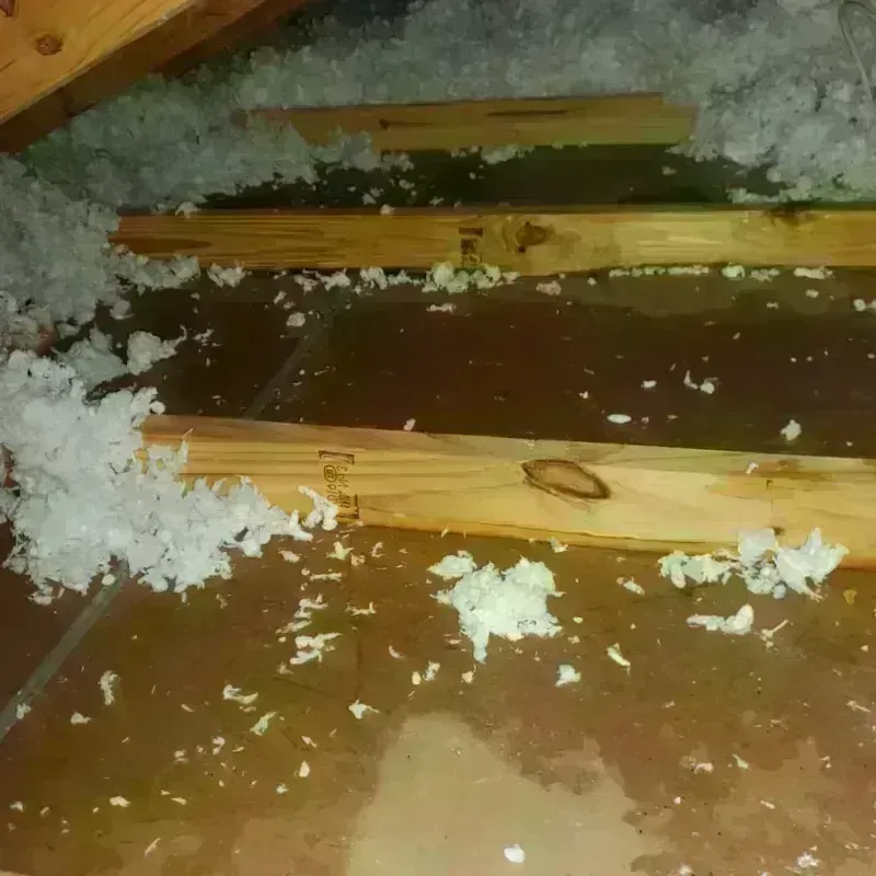 Attic Water Damage in Thoreau, NM